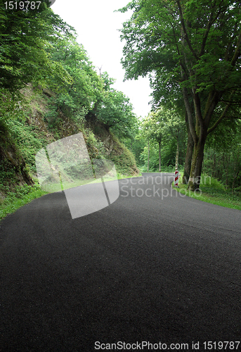 Image of Ardennes road at summer time
