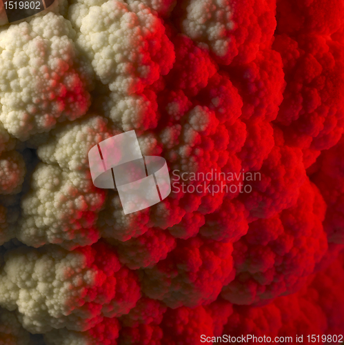 Image of red illuminated cauliflower