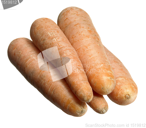 Image of carrots in white back