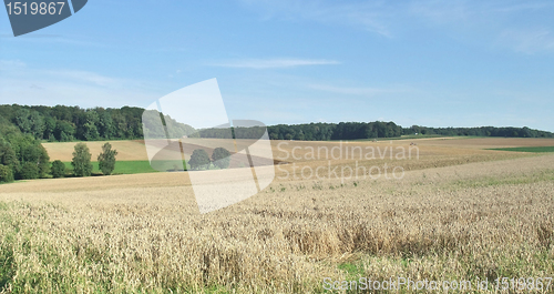 Image of rural scenery in Hohenlohe