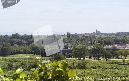 Image of Alsace scenery