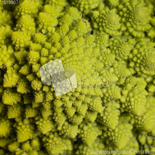 Image of abstract romanesco cauliflower