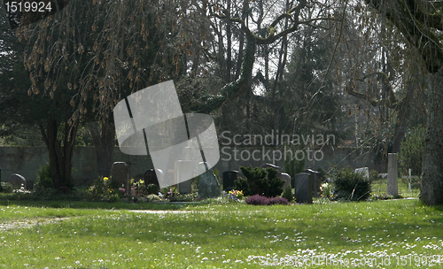 Image of sunny graveyard detail