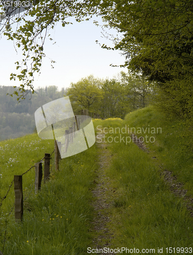 Image of overgrown field path