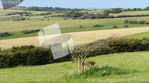 Image of Beachy Head near Newhaven