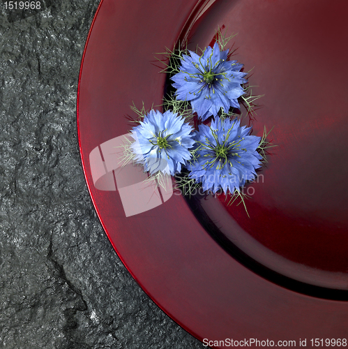 Image of red plate and blue flowers