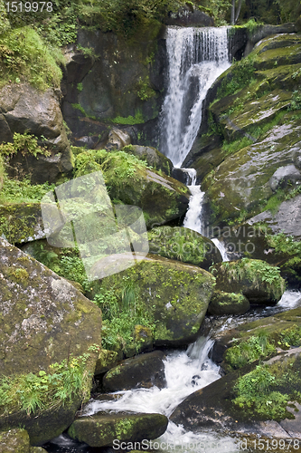 Image of idyllic Triberg Waterfalls