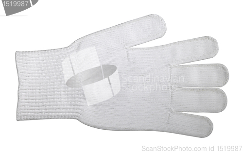 Image of cotton glove