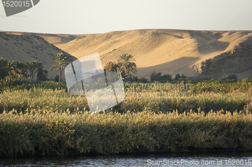 Image of River Nile scenery at evening time