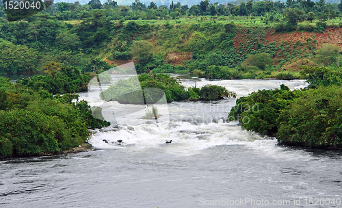 Image of River Nile scenery near Jinja