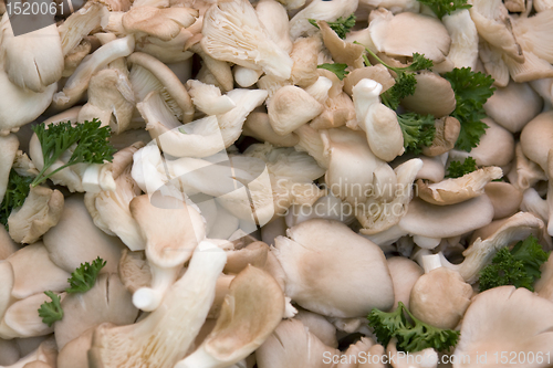 Image of background with mushrooms and parsley