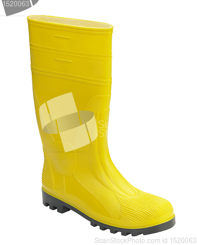 Image of yellow gumboot