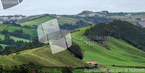 Image of coastal scenery at the Azores