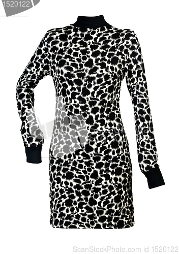 Image of a woman's dress with spotted pattern