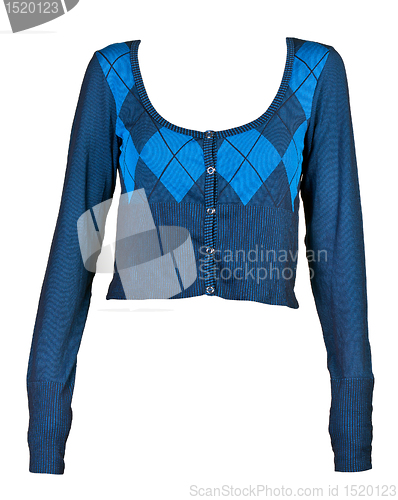 Image of women's blue plaid blouse pattern