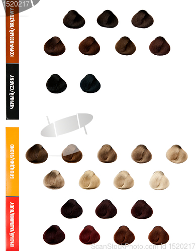 Image of Professional palette of hair colors for color selection