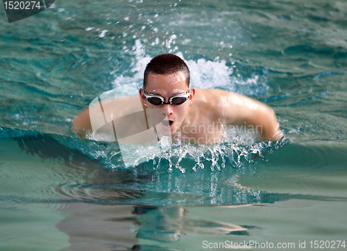 Image of swimmer