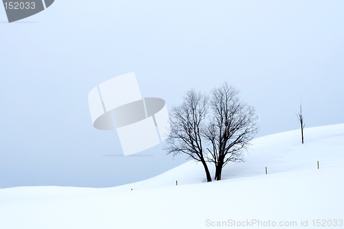 Image of Overcast winter landscape