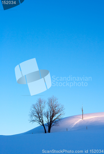 Image of Crisp morning winter landscape