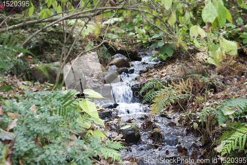 Image of Small Stream