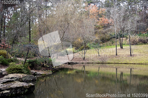 Image of Fall Time Pond