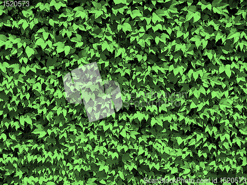 Image of Dotty Green Leaves Background