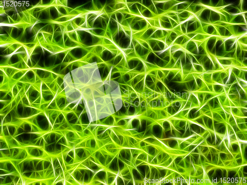 Image of Neon Natural Green Grunge Background