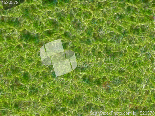 Image of Natural Green Grass and Leaves Textured Background