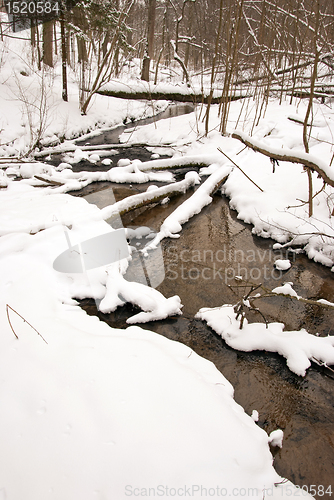 Image of Flowing forest stream water in winter. Coast snow