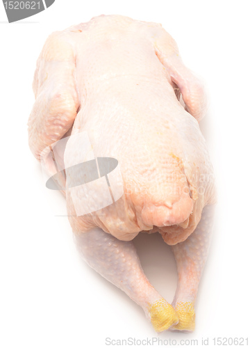 Image of raw chicken