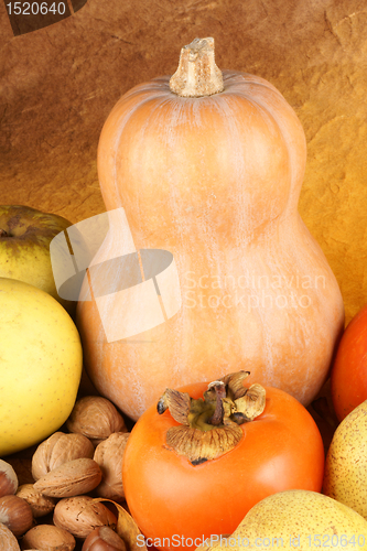 Image of Autumn fruits