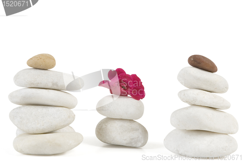 Image of zen stones with red flower