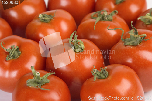 Image of Fresh tomatoes