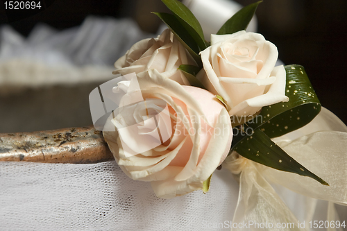 Image of blossom pink roses 