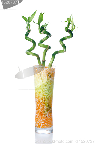 Image of Glass jar with bamboo 