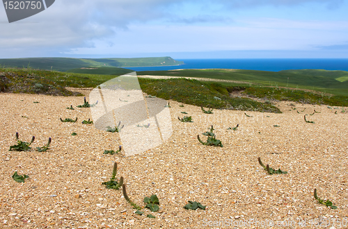 Image of Golets 4. View from mountains to Bering sea