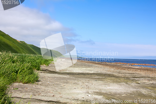 Image of Coast of Bering sea