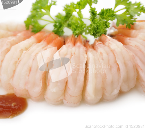 Image of Fresh Shrimps