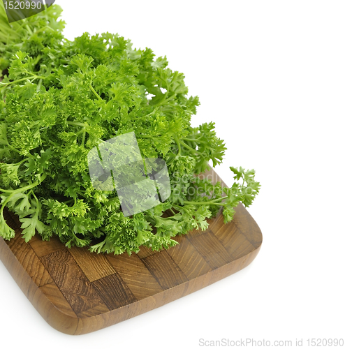 Image of Fresh Parsley
