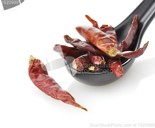 Image of Ped Hot Pepper 