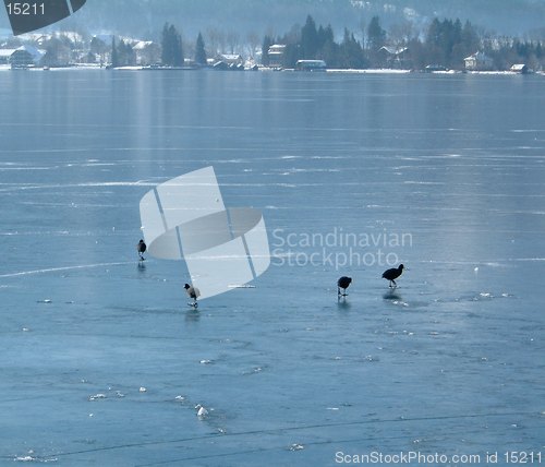 Image of Day out on the ice