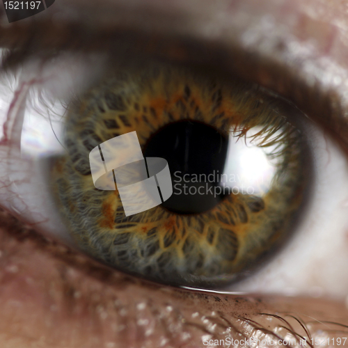 Image of Green eye