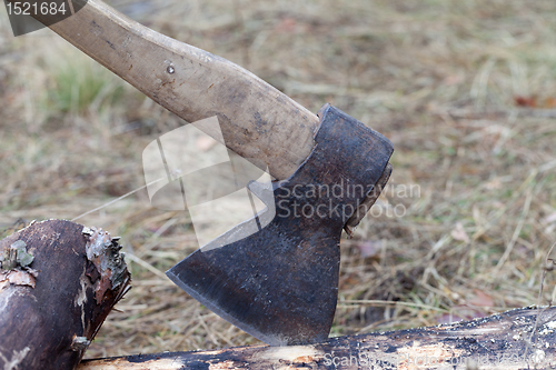 Image of Axe in log