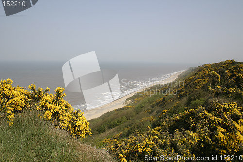 Image of coastal scene