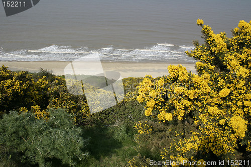 Image of coastal scene