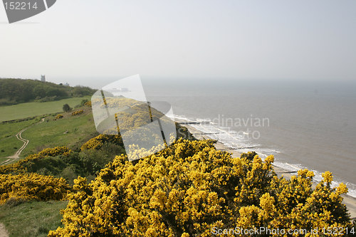 Image of coastal scene