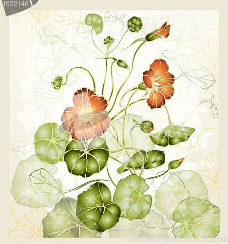 Image of Greeting card with nasturtium. Illustration nasturtium.