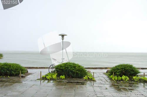 Image of Park near lake after rain bicycle bush walks