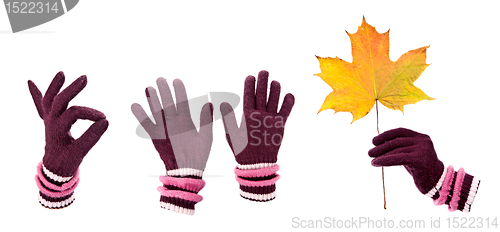 Image of A collage of warm gloves with autumn maple leaf