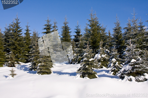 Image of fresh snow in the mountains